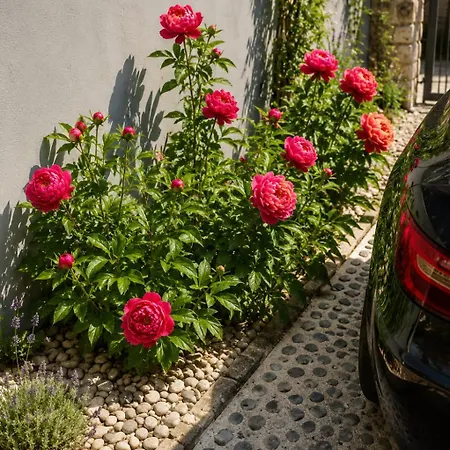 Apartmán Roseart Nest Lublaň
