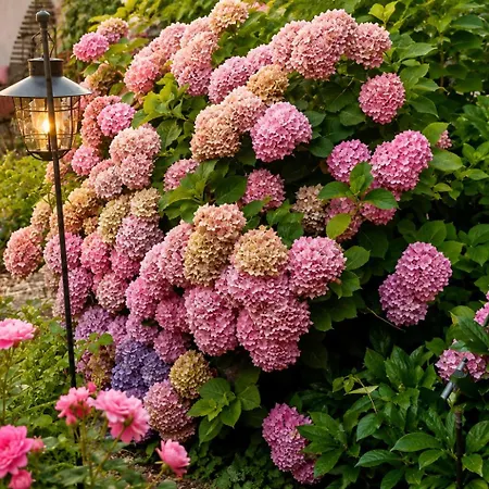 Roseart Nest Apartmán Lublaň