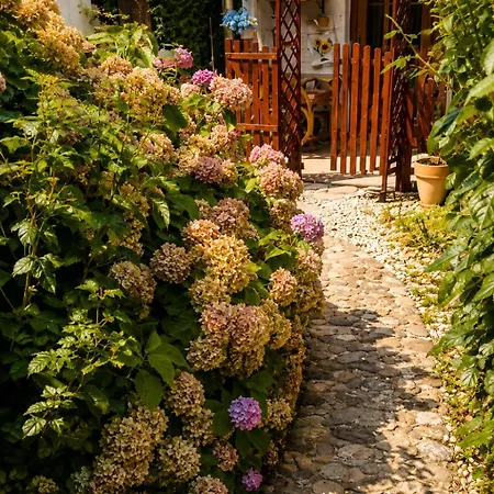 Roseart Nest Apartmán *